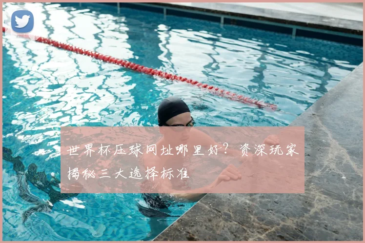 世界杯压球网址哪里好？资深玩家揭秘三大选择标准