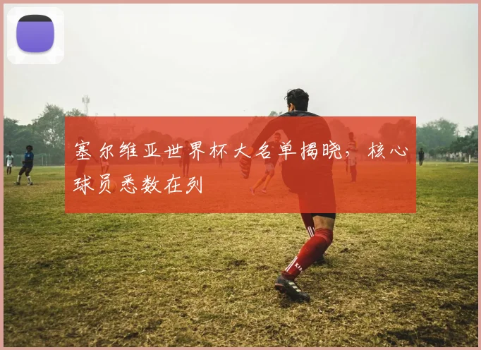 塞尔维亚世界杯大名单揭晓，核心球员悉数在列