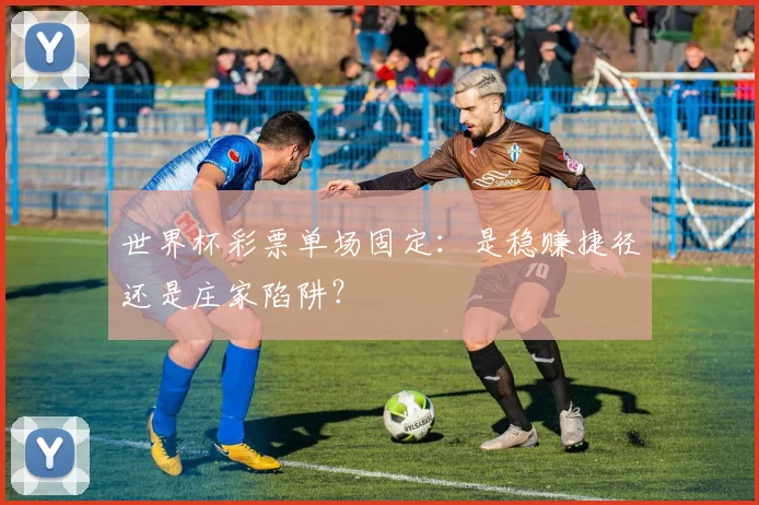 世界杯彩票单场固定：是稳赚捷径还是庄家陷阱？