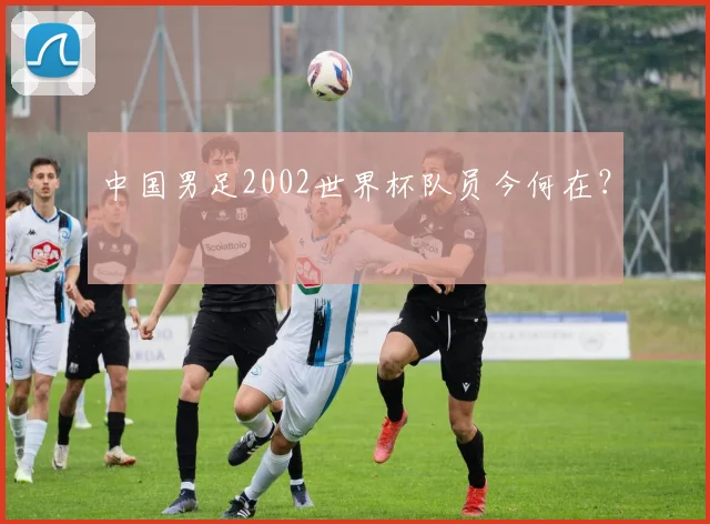 中国男足2002世界杯队员今何在？