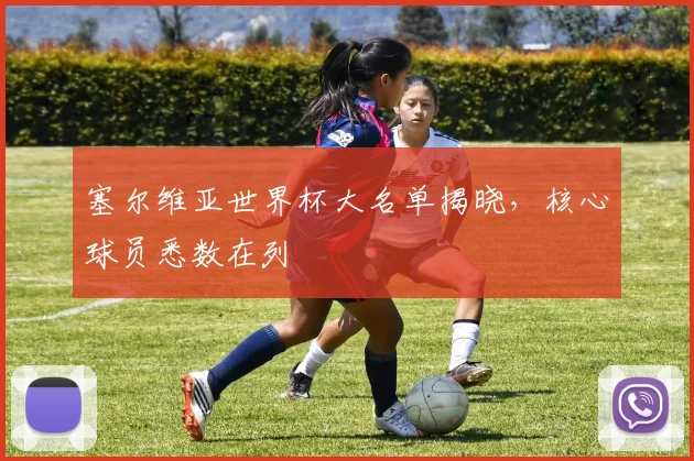 塞尔维亚世界杯大名单揭晓，核心球员悉数在列