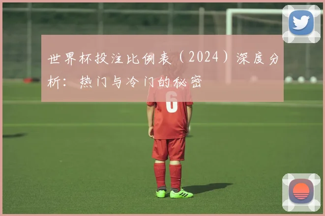 世界杯投注比例表（2024）深度分析：热门与冷门的秘密