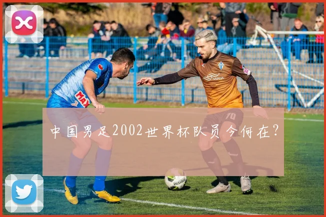 中国男足2002世界杯队员今何在？