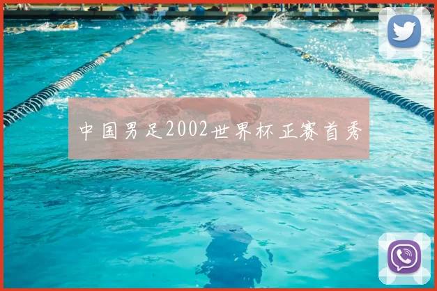 中国男足2002世界杯正赛首秀