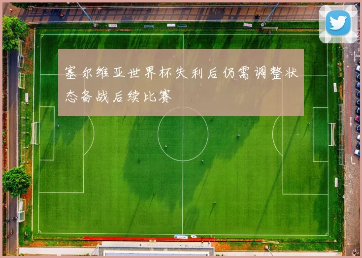 塞尔维亚世界杯失利后仍需调整状态备战后续比赛