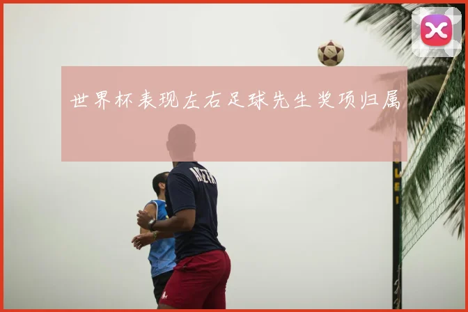 世界杯表现左右足球先生奖项归属